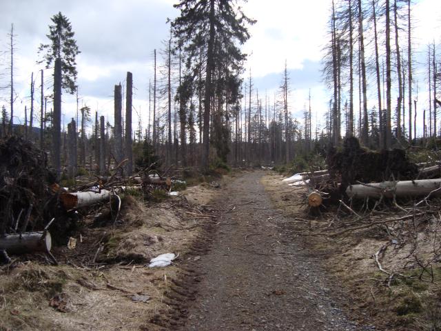 Wurmberg per Fahrrad